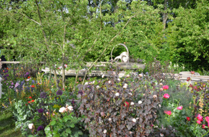DSC_0406.jpg