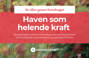 Sue coverbillede.png (1)